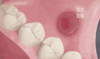 b78af97a9ced43fc99c18b221b67d8f8.gif