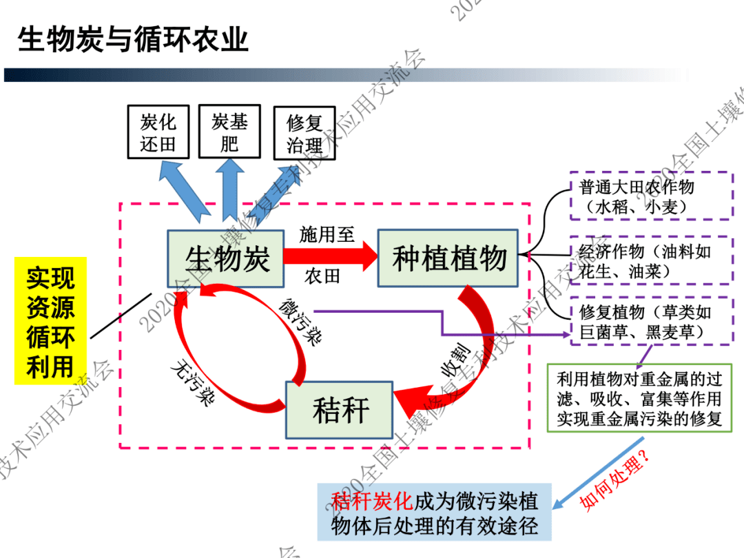 干货分享张亚平生物炭67土壤修复与循环农业ppt