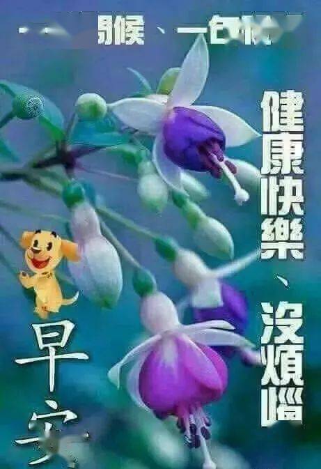 漂亮的美女早安动态表情图片 早上好发朋友圈动态祝福