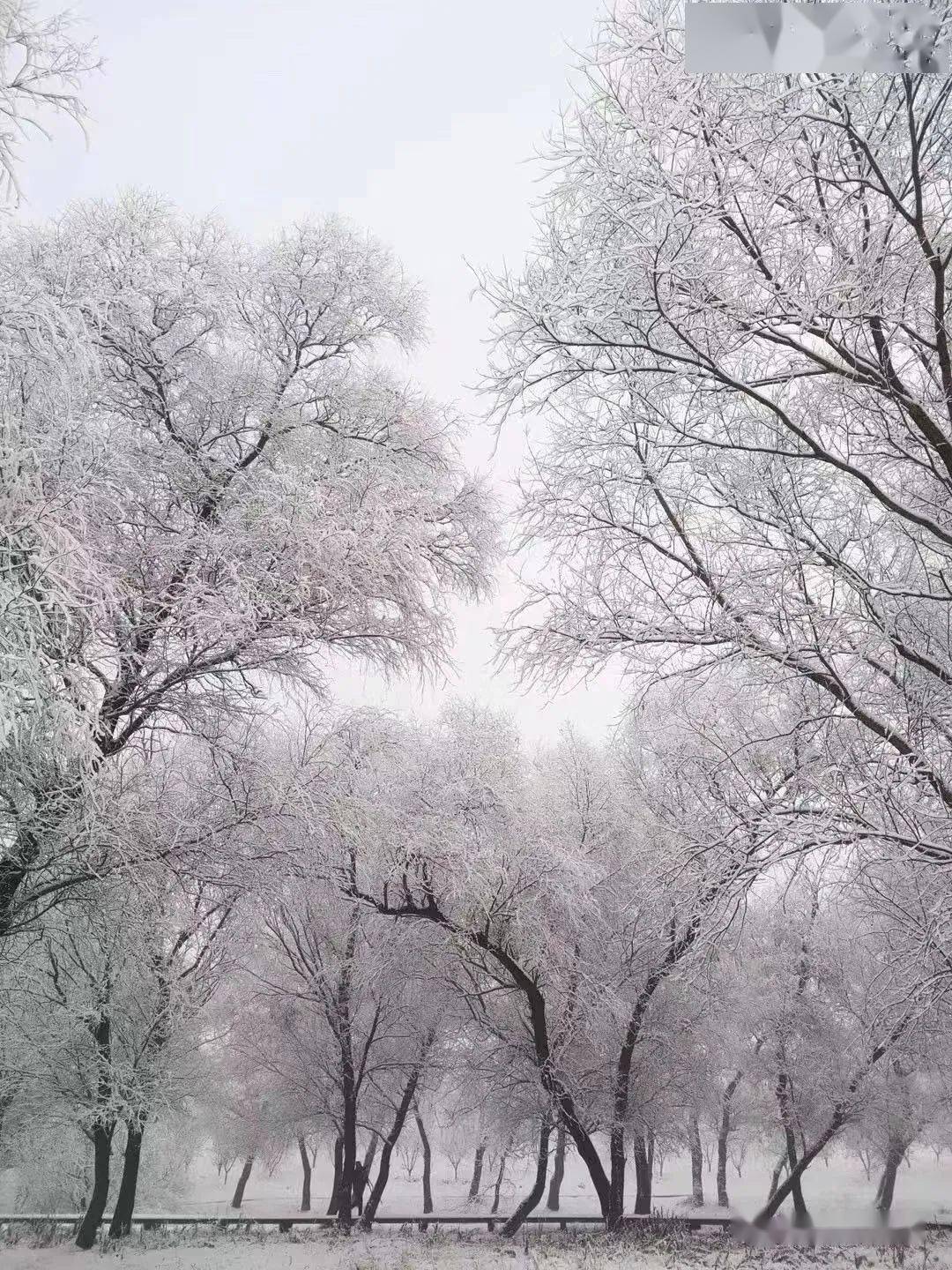 速看初雪后的通州美景最新照片和视频来啦