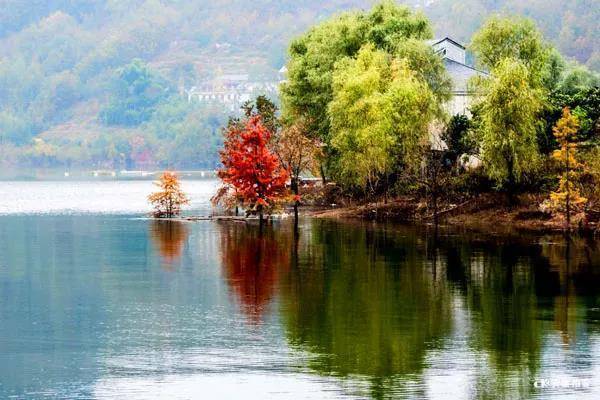 冬日的瀛湖美如画，被称为陕西最美的冬天！