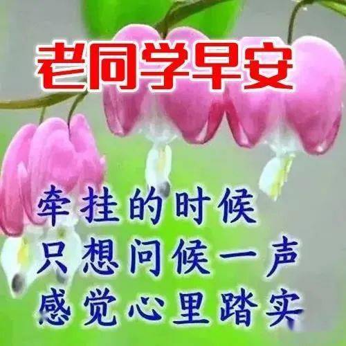 3541d95b84a646f4a36963bb28f967cc.jpeg