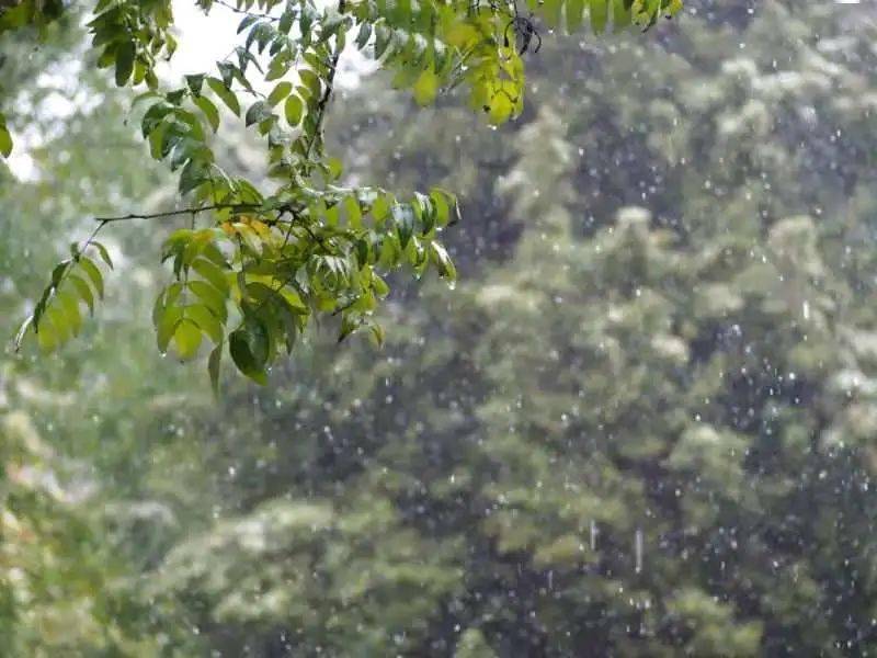 冬将至 暮霭沉沉中 深秋最后一阵风拨动木铎 待夜幕垂落,雨雪簌簌飘过