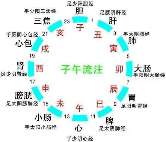 794cca923b154a23817487762d1a8712.png