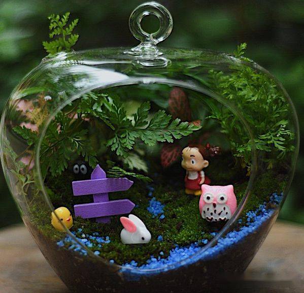 苔藓玻璃瓶微景观作品欣赏