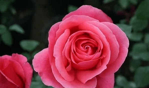 d3a35463cb0543179fbfead4ebb9ef49.png