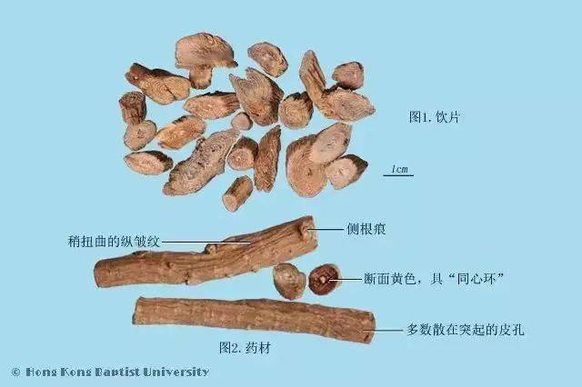 别名 川膝,川夕,大牛膝,川牛夕,拐膝,白牛膝,肉牛膝,牛茎,对节草.