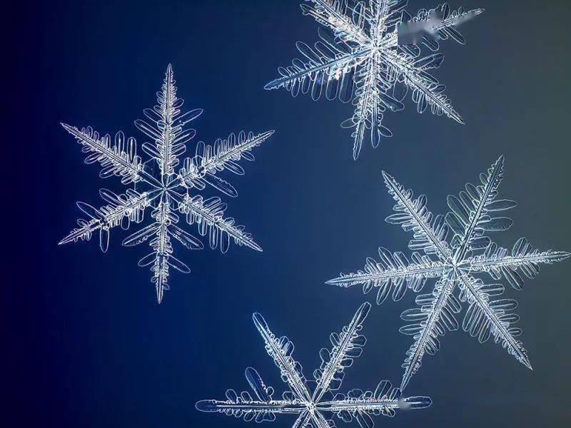 18个月时间一亿像素飞思拍摄雪花照片！显微镜、工业用 LED 都用上了……