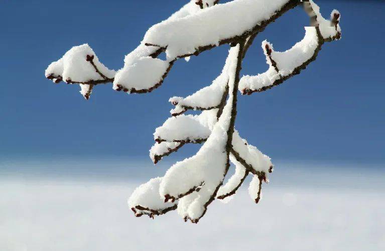 孩子|除了这些知识，家长也要记得告诉孩子这件事 | 特别关注“小雪”来了