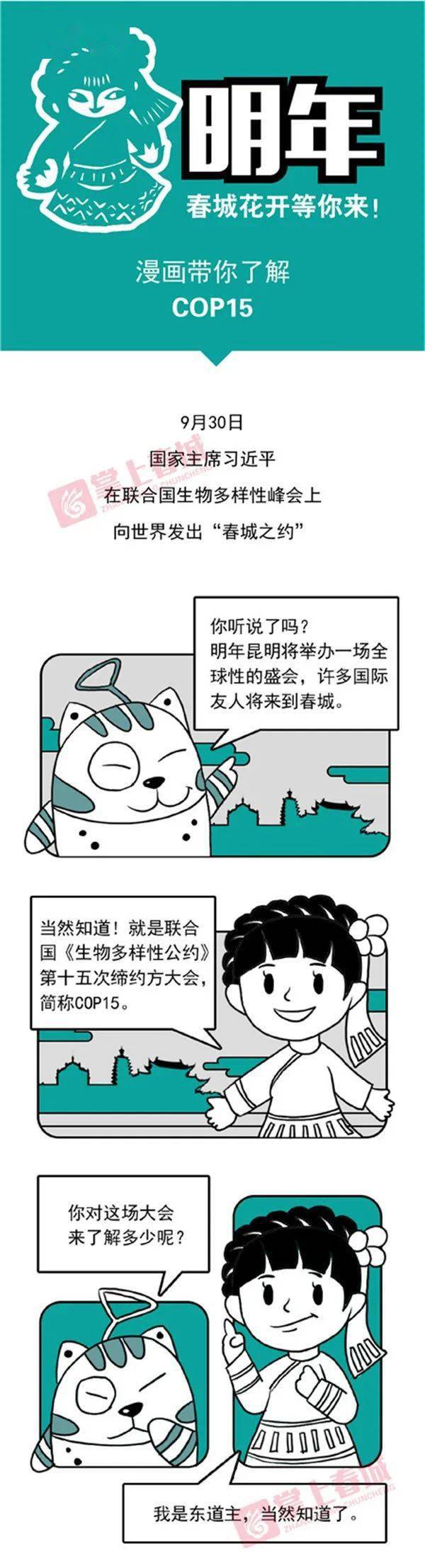 【生物多样性】图解cop15,让您简单了解生物多样性