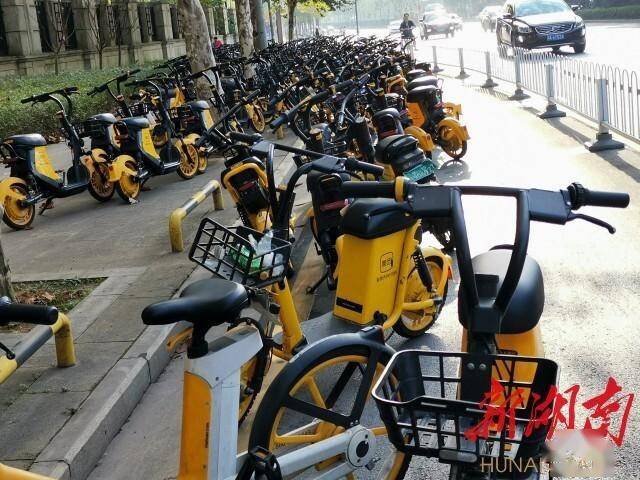 共享单车没牌被罚款 a17d8c9f72424f3ca8e14b8ee9ea221a.jpeg