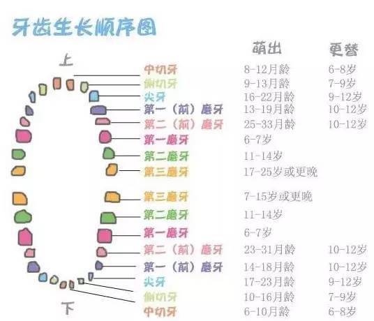 孩子|让孩子拥有一口好牙的方法和必须警惕的坏习惯