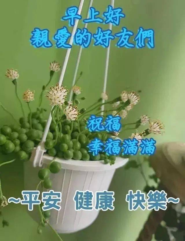 清晨问候祝福语温馨句子漂亮的早上好问候图片