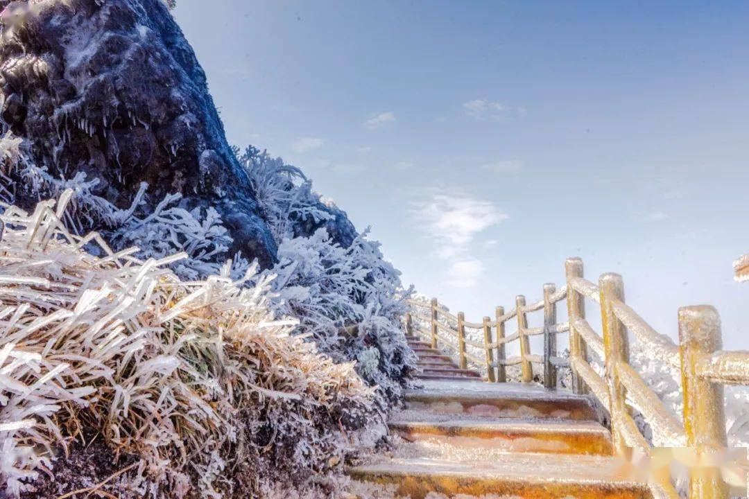 今天小雪,冷空气安排上了!附送一大波金子山雪景美图