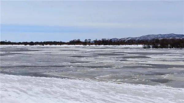 乌苏里江饶河段进入流冰期