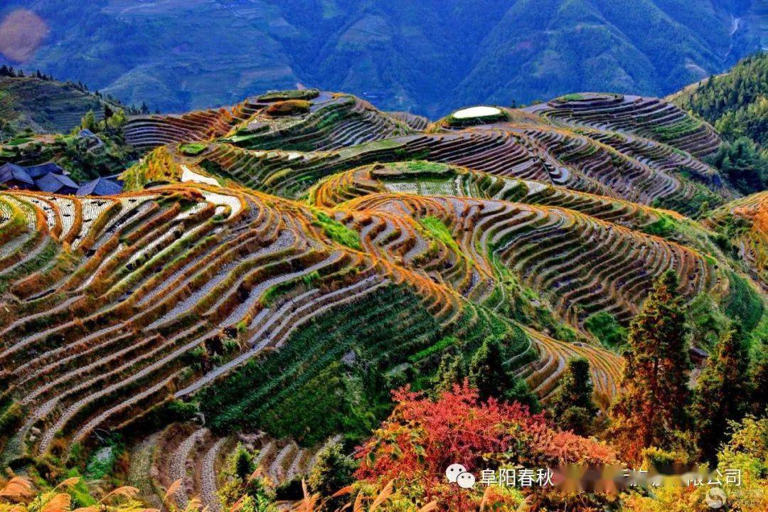 文章配图-10