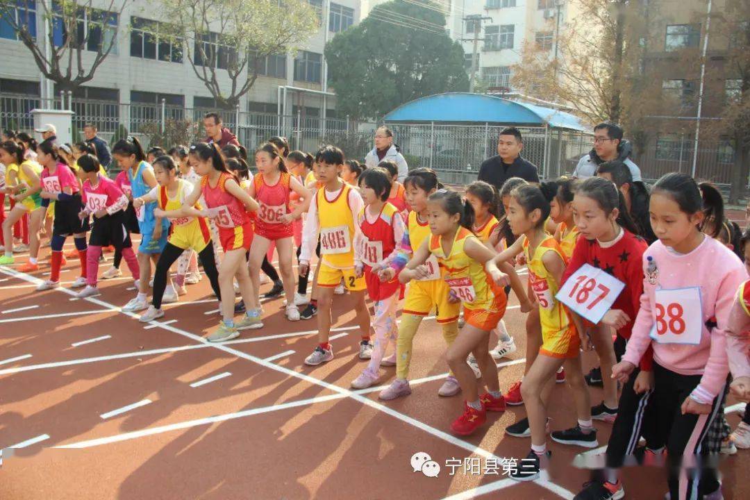 历尽天华成此景 多少功夫使作成—— 宁阳县第三小学文庙小学教育集团