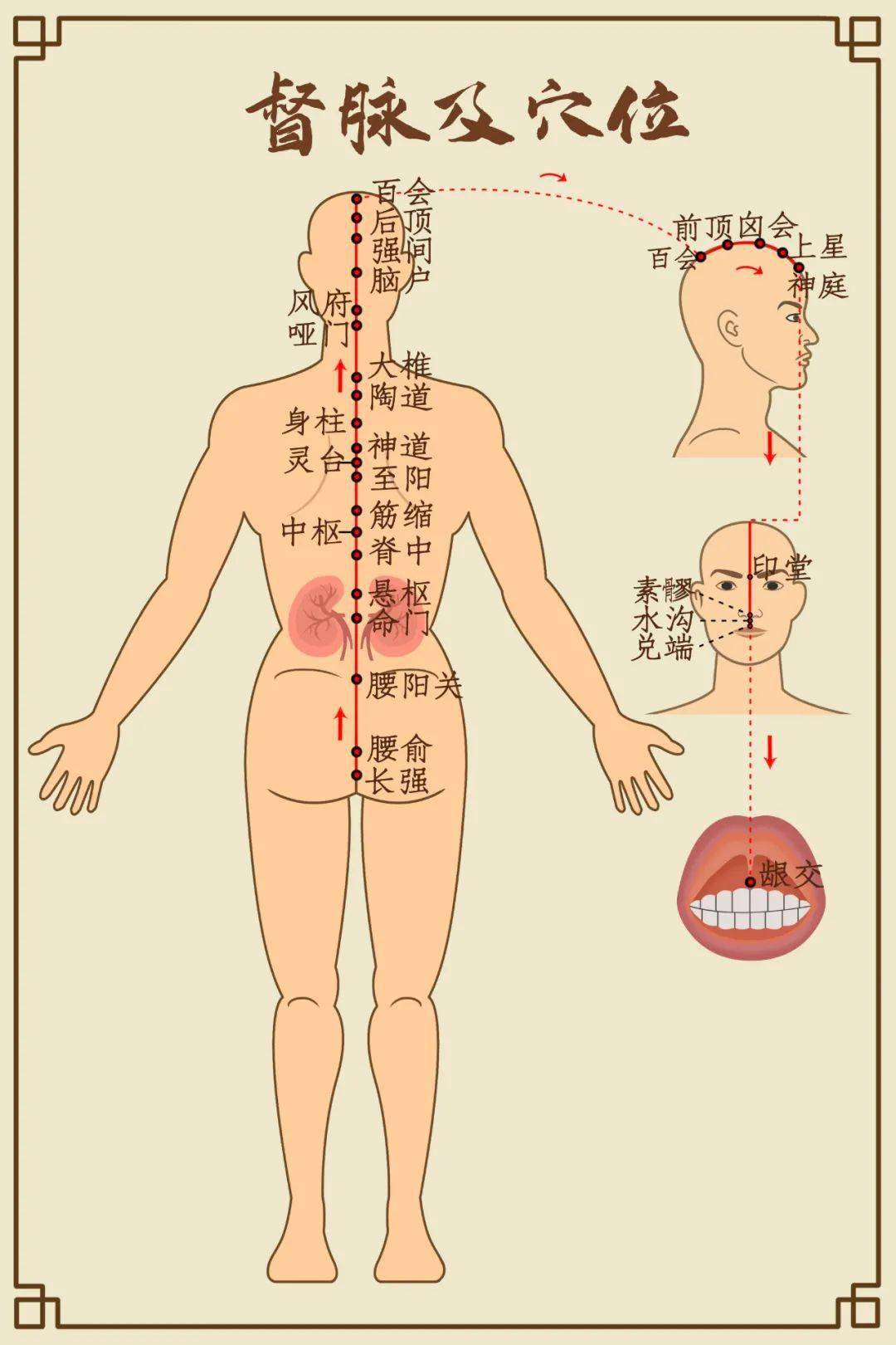 一文读懂十四经络的作用(附图)