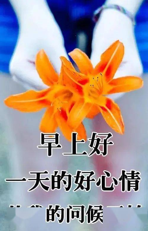 快乐每一天,开心每一年。 66e203c13f9c4f0084c6ee562198acf6.jpeg