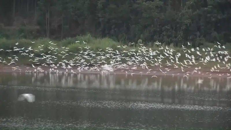 生态治理的目标 7c24bb6189ca4373b8c8eb079b7c1393.jpeg