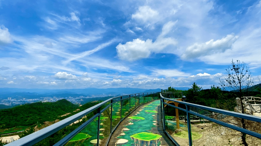 丰顺大宝山温泉旅游度假区是一个以乡野文化为主题,集休闲,养生,娱乐