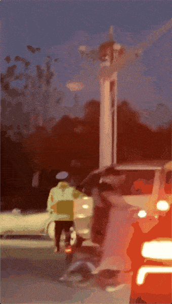 340_599竖版 竖屏gif 动态图 动图