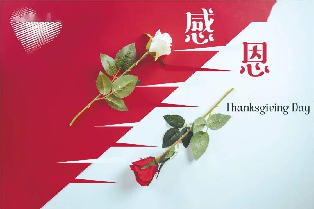 感恩节丨感恩,生命中遇到的每一个人!