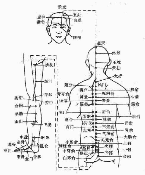 上身胖脾胃不好下身胖肝胆不好艾灸调理减掉脂肪从疏通经络开始