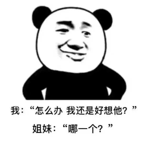 最近火的表情包熊猫 1d132dca3e1b431c84c74b824ea163a6.jpeg