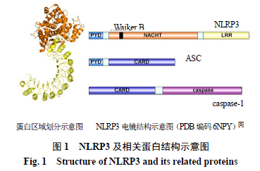 小分子实验原理是什么_分子轨道图是什么(3)