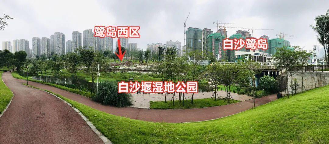 临港这个楼盘,就在 白沙堰湿地公园的旁边上,下小区楼就是10万方的