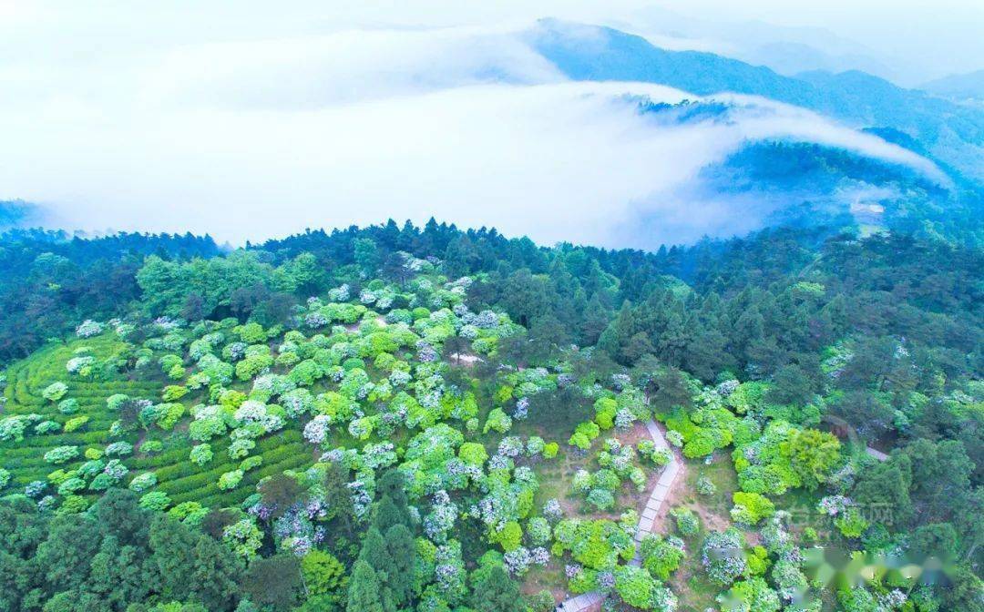 (今日头条)天然氧吧天台山 养心养肺"森"呼吸 天台荣获"中国天然氧吧"