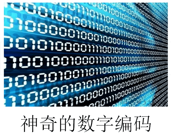 【附小大讲堂】神奇的数字编码——三年级数学大讲堂