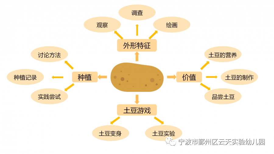 土豆的故事
