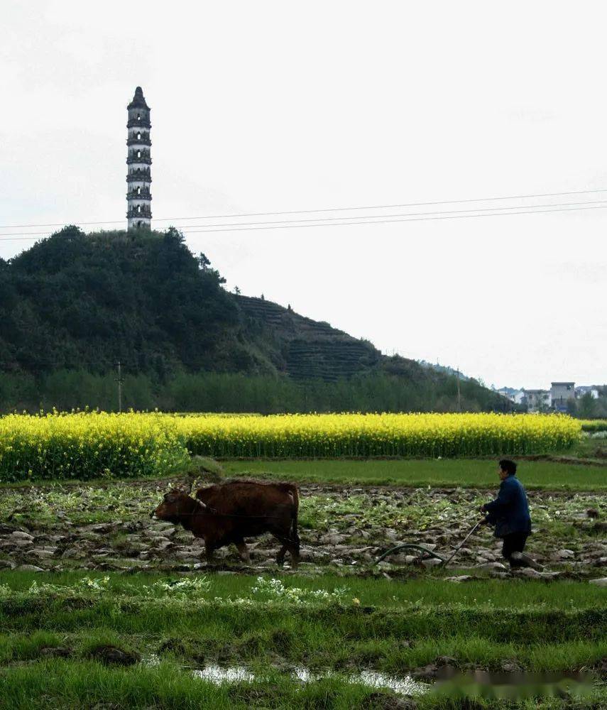 榆村乡地处休宁县东南部,位于黄山市府所在地屯溪的东南端,与屯溪