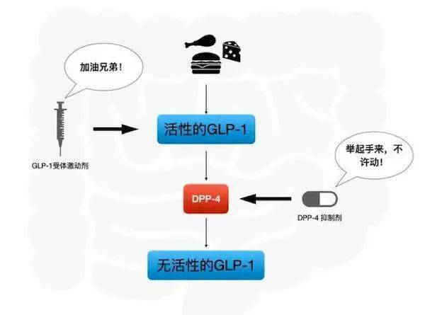 国际糖尿病学会[2020]2型降糖药最全用法收录!