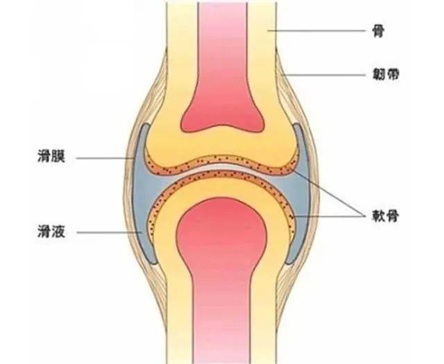 手指掰得啪啪响会得关节炎有人专门做了实验