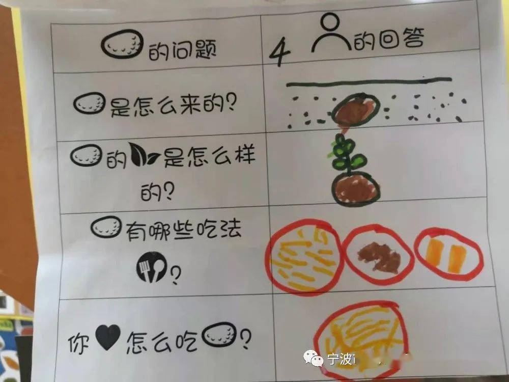 请家长和幼儿共同完成,通过记录表,幼儿对土豆的生长环境和使用方法有