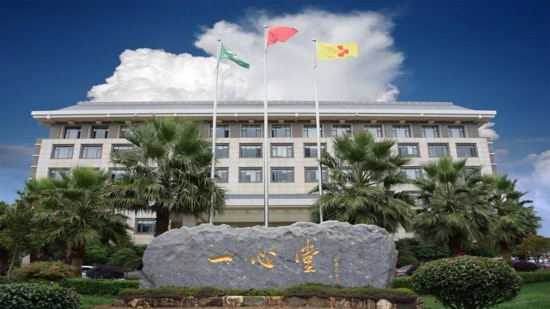 一心堂半月两度触及涨停 ：毛利率持续下滑 电