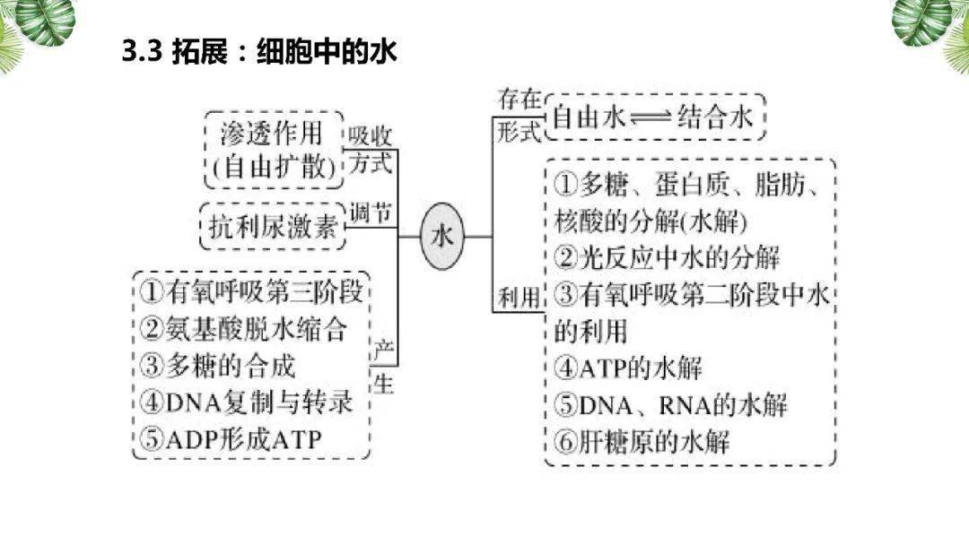 高考|考生必看！附电子版~2021高考一轮| 细胞机器分子组成专题及近三年高考真题压轴练