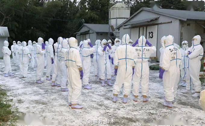 2020取名排名_2020年日本男女宝宝名字排行出来了,第一名居然是…