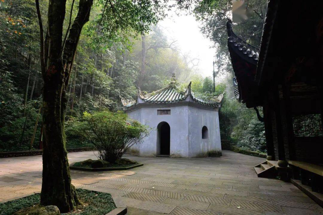 桃什么山成语_成语故事手抄报