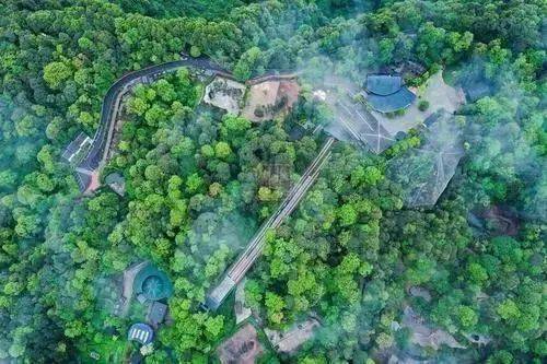 雨城区人口面积_雅安雨城区洪水图片