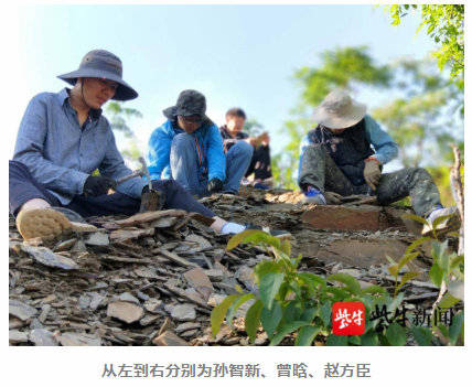 有关|南京古生物所专家将5亿年前三叶虫命名为“范特西虫” 真和周杰伦有关！