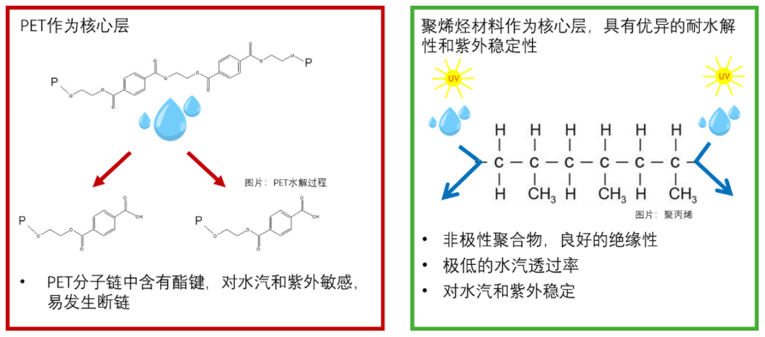 pet和聚烯烃的分子链结构对比