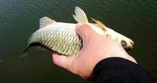 7fd026ef8f594052ad5225cfc87bac00.jpeg