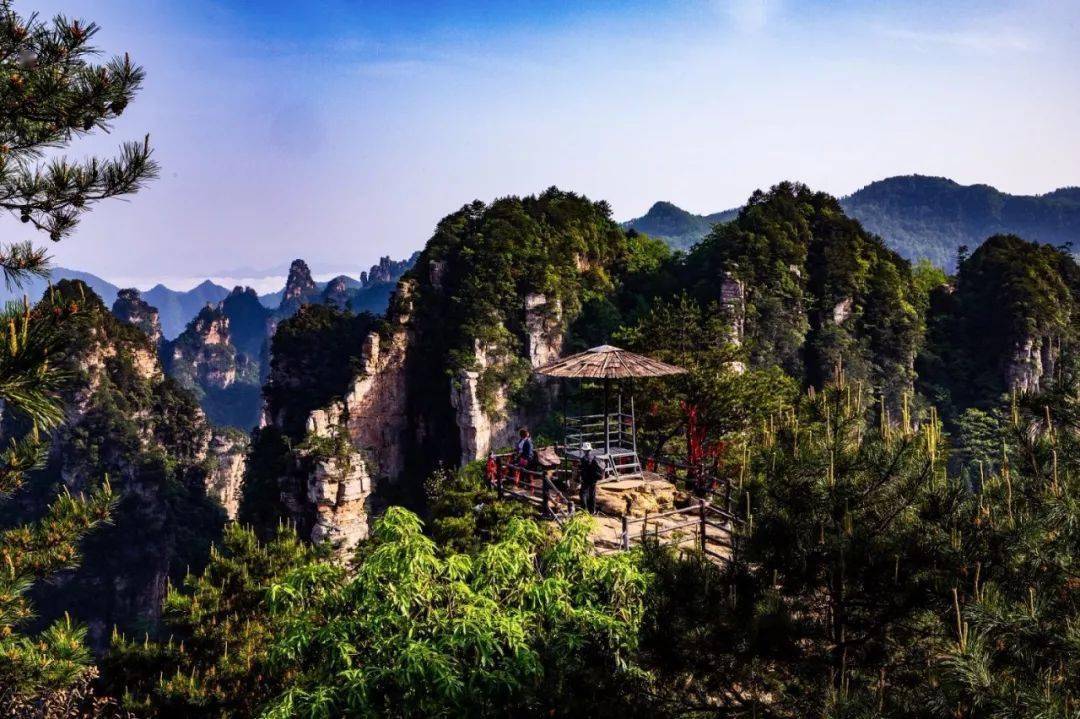 杨家界景区游览示意图