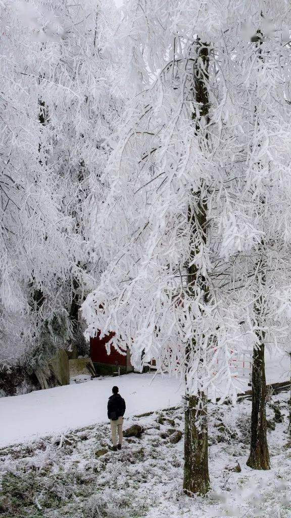 照片中感受下雪景摩围山