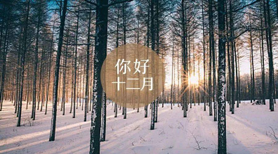 11月再见;12月你好!