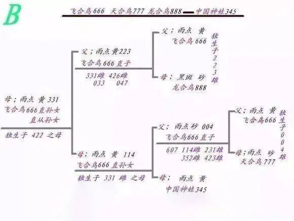 最硬核【信鸽育种回血公式图】 不看后悔!